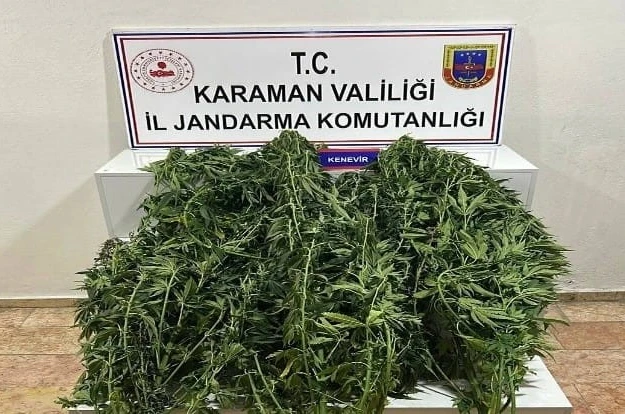 Karaman’da jandarmanın yakaladığı 44 şahıstan 9’u tutuklandı