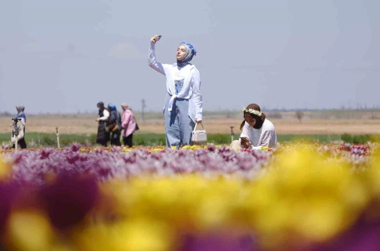 Karaman’da lale tarlasına ziyaretçi akını: 2 günde 30 bin kişi gezdi 