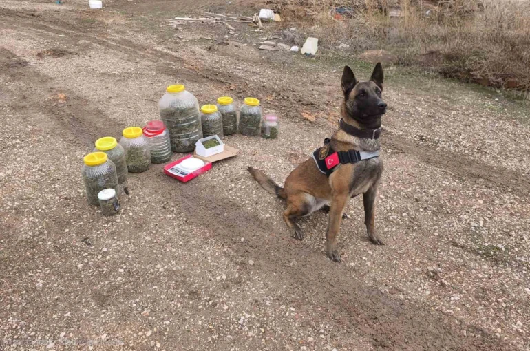 Karaman’da uyuşturucu operasyonu: 1 gözaltı