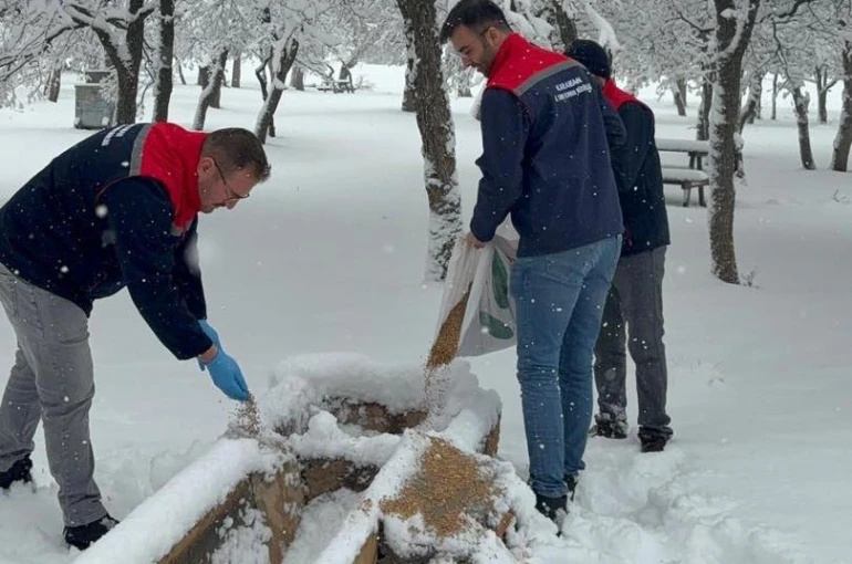 Karaman’da yaban hayvanları ve kuşlar için doğaya yem bırakıldı 