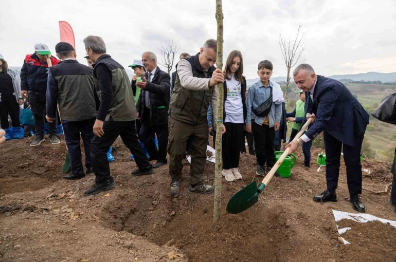 Karamürsel’de yanan bölge 3 bin fidanla yeniden yeşerecek 
