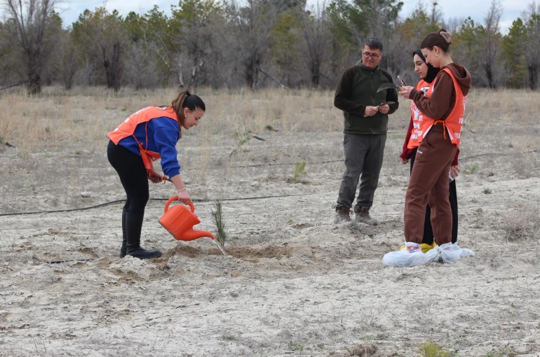 Karapınar'da erozyon sahasına fidan dikildi