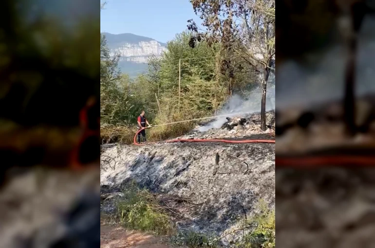 Kardeşini ahıra kilitleyip ateşe verdiği iddia edilen şahsın yargılamasına devam edildi 