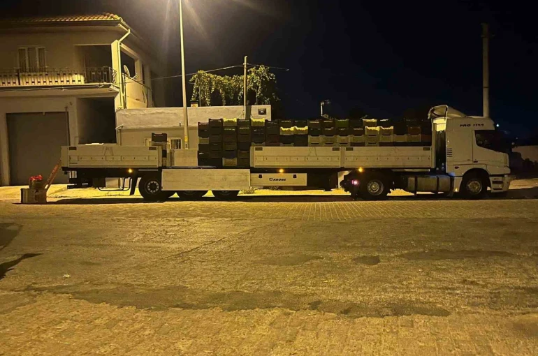 Kardeşköy’de bamya sezonu hız kesmiyor 