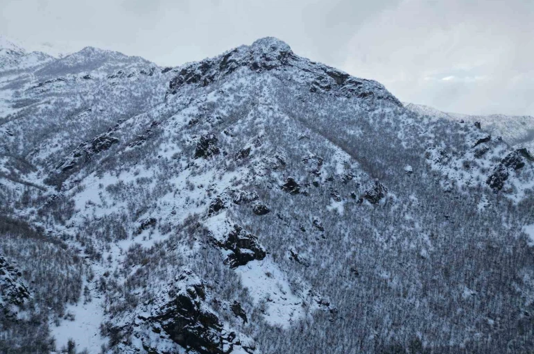 Karla birlikte meşe ormanı beyaza büründü 