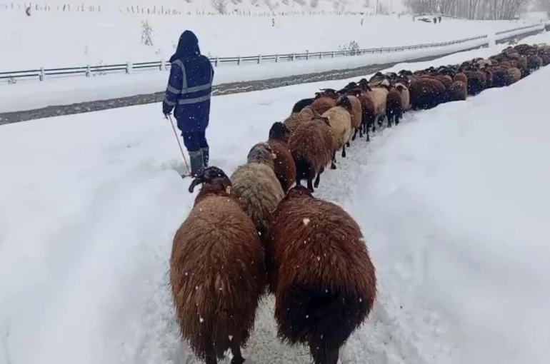 Karlıova’da besicilerin zorlu kış mesaisi