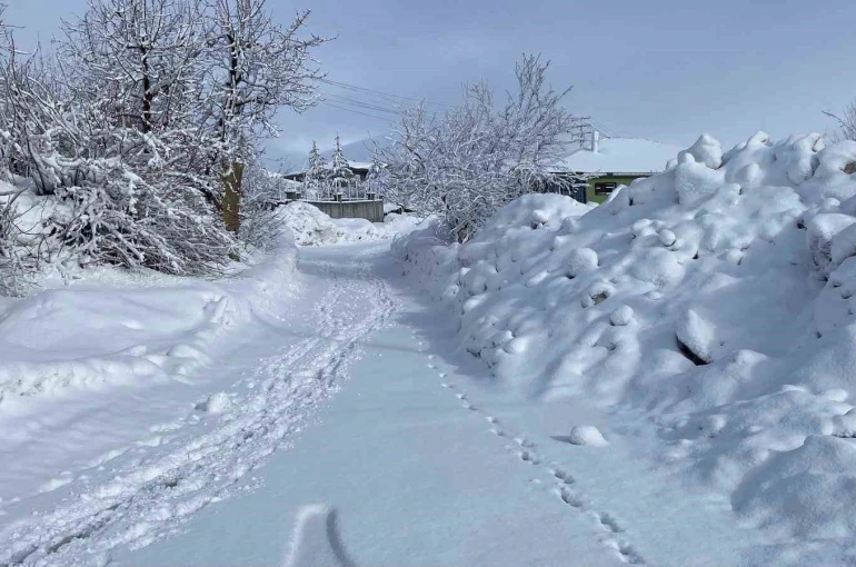 Karlıova’da kar yağışı etkisini sürdürüyor
