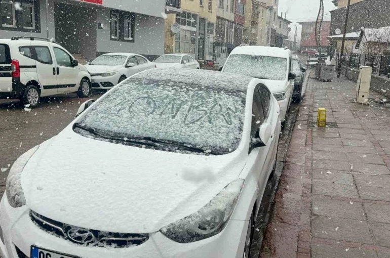 Karlıova’da nisan karı etkili oldu 