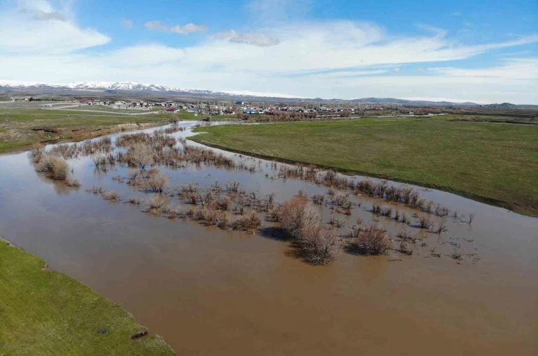 Kars Çayı taştı: Ağaçlar sular altında kaldı 