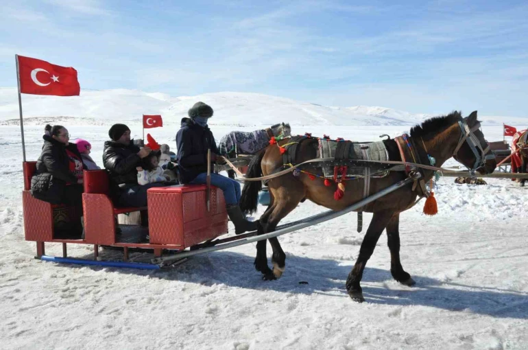 Kars Çıldır Gölü’nde dörtnala atlı kızak safarileri nefes kesiyor 