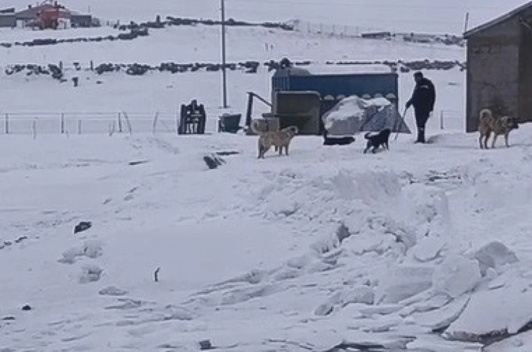 Kars’ın soğuğunda enerji mesaisi: Aras Edaş ekiplerinin soğukla imtihanı 