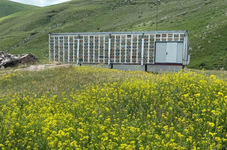 Kars’ta arıcılıkta devrim: Türkiye’nin en büyük mobil arı üretim üssü hizmete girdi