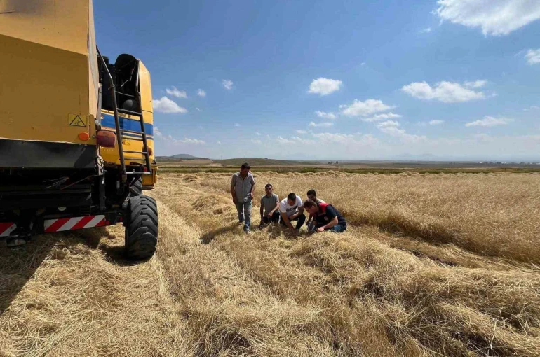 Kars’ta biçerdöver hasadı kontrolleri sıklaştırıldı