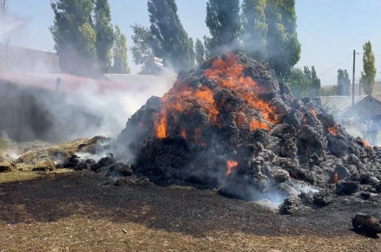 Kars’ta bin ot balyası kül oldu 