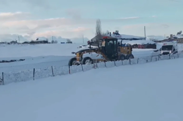 Kars’ta ’kar kaplanları’ndan hayat mesaisi 
