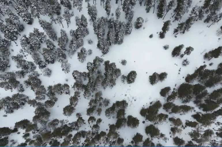 Kars’ta sarıçam ormanları beyaza büründü, tarım arazileri kar altında 