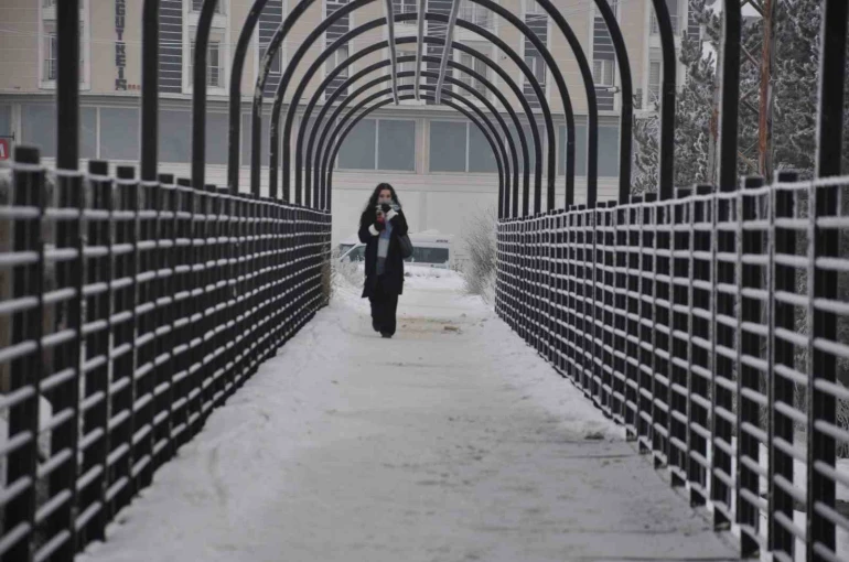 Kars’ta soğuktan ağaçlar kırağı tuttu