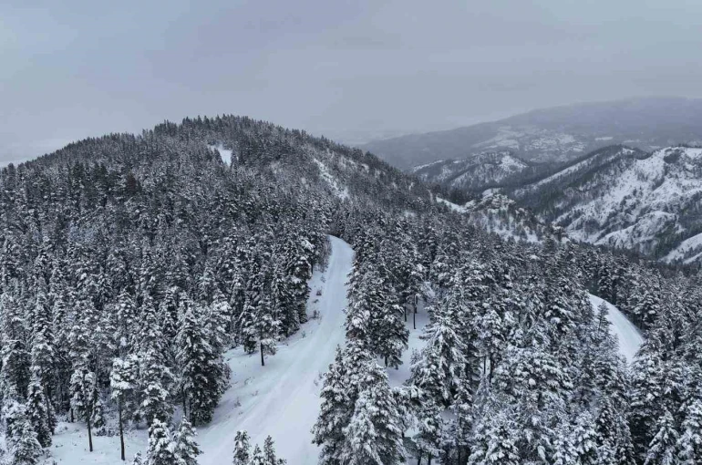 Kastamonu ormanlarında kış güzelliği 