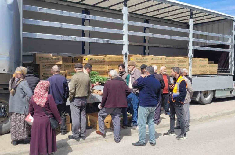 Kastamonu’da çiftçilere 147 bin adet sebze fidesi dağıtıldı 