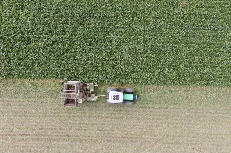 Kastamonu’da çiftçilerin zorlu pancar mesaisi devam ediyor 