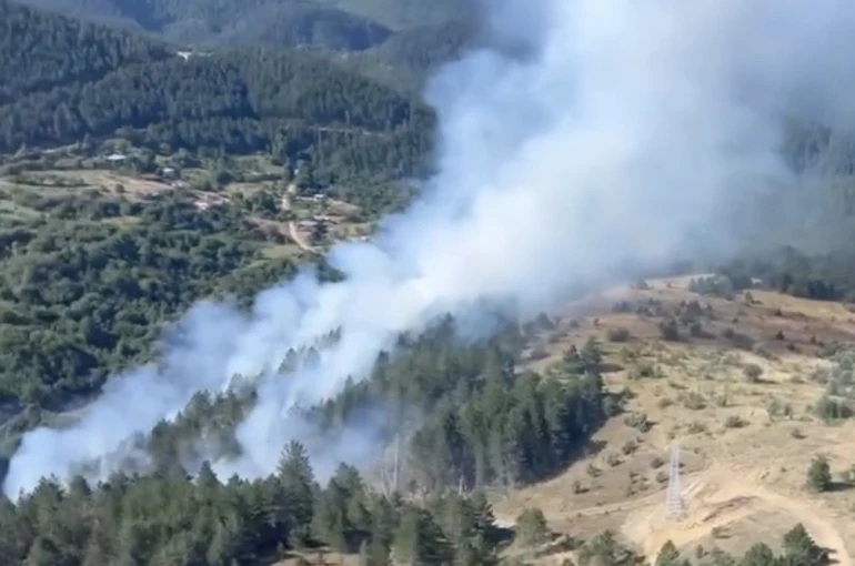 Kastamonu’da çıkan orman yangını ekiplerin hızlı müdahalesiyle söndürüldü 