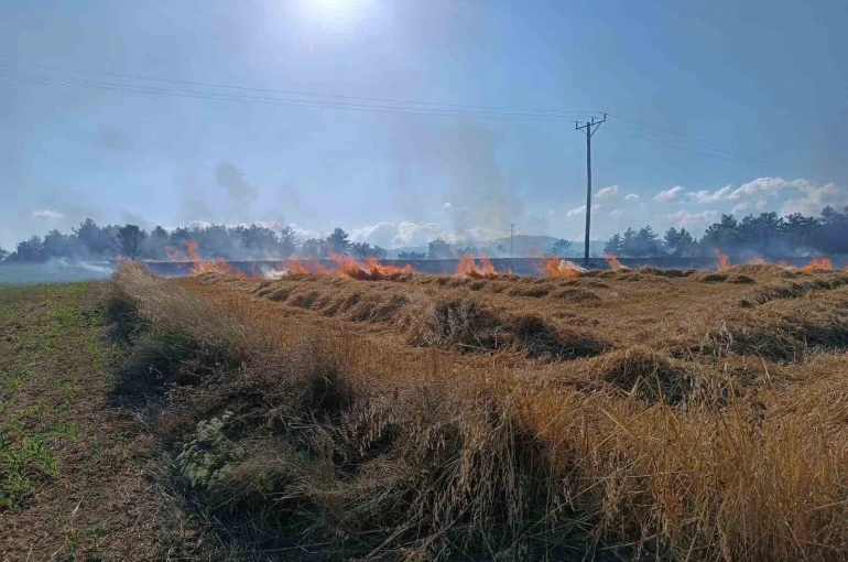 Kastamonu’da çıkan yangında 13 dönümlük tarar zarar gördü