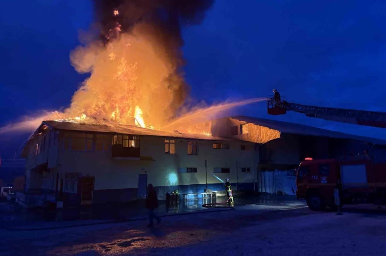 Kastamonu’da fabrika yangını 