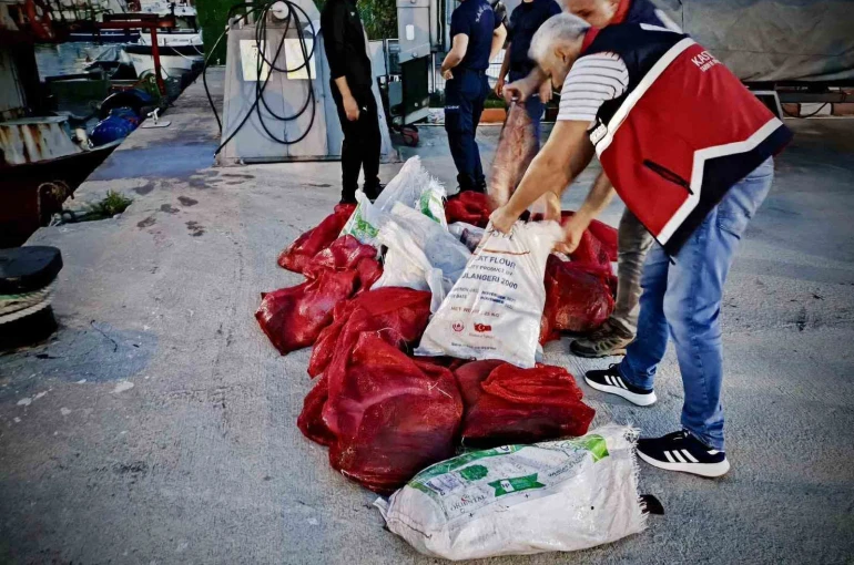 Kastamonu’da kaçak avlanan 142 kalkan balığına el konuldu