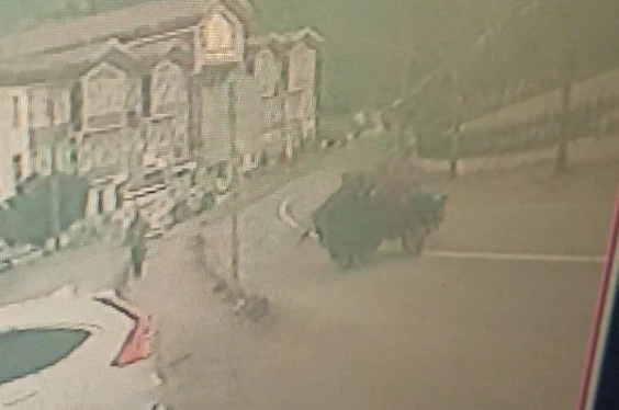 Kastamonu’da lastiği fırlayan tarım aracı takla attı: 1 yaralı 