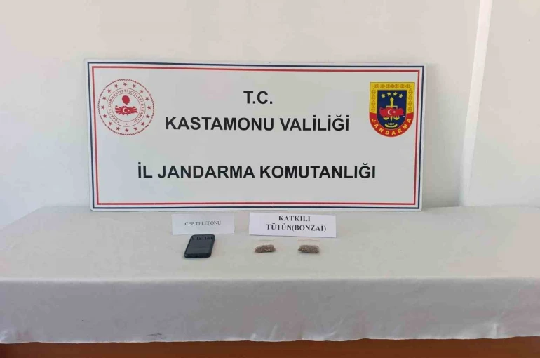 Kastamonu’da uyuşturucu operasyonu: 1 tutuklama 