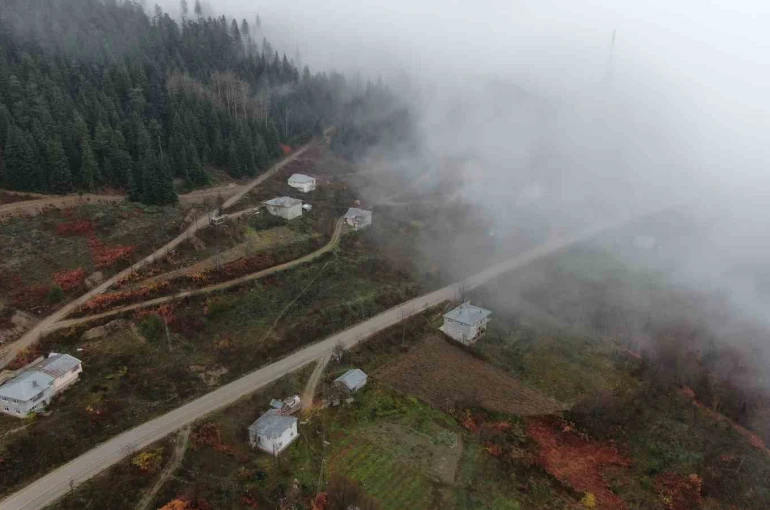 Kastamonu’da Yaralıgöz geçidinde sis nedeniyle görüş mesafesi düştü 