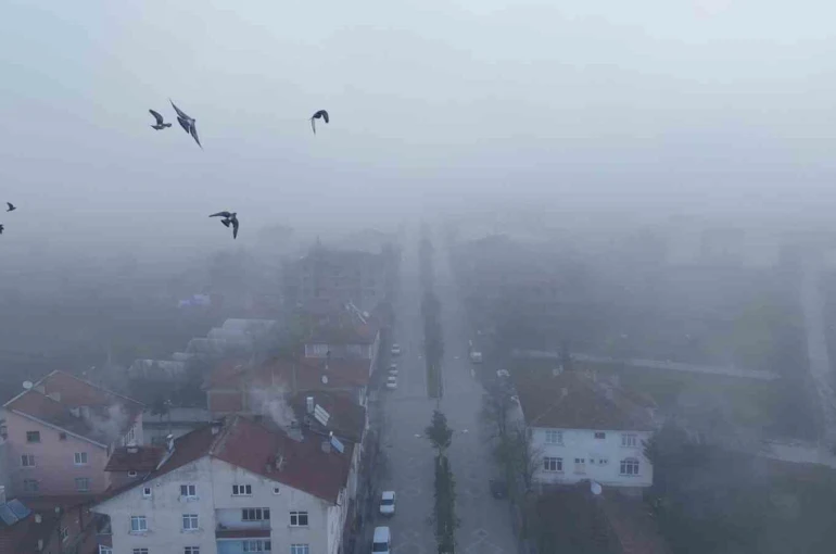 Kastamonu’da yoğun sis