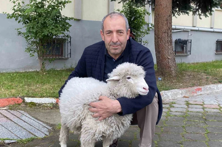 Kavak Adliyesi’nin sevimli maskotu: Kuzu Tertip 