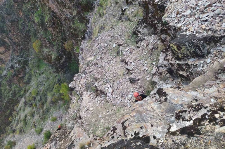 Kayalıklarda mahsur kalan keçiler kurtarıldı