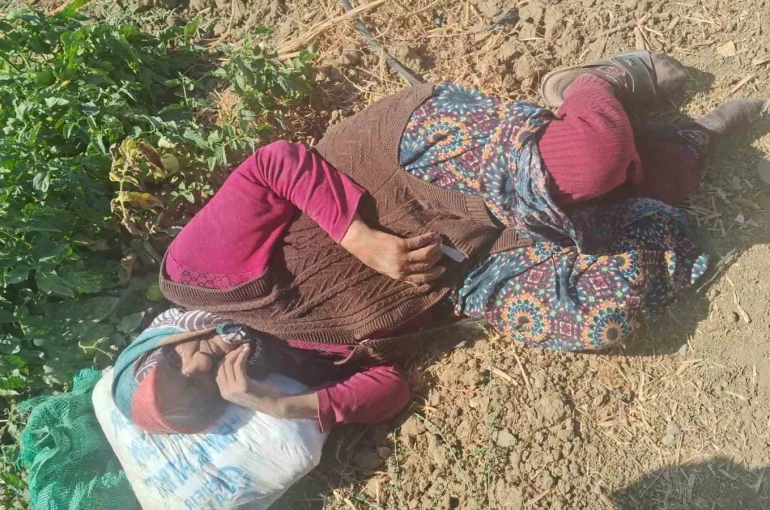 Kaybolan 74 yaşındaki kadın bulundu 