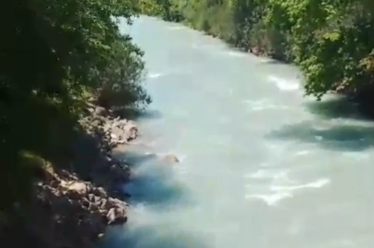 Kaybolduğu yerde son çektirdiği fotoğrafı ortaya çıktı 