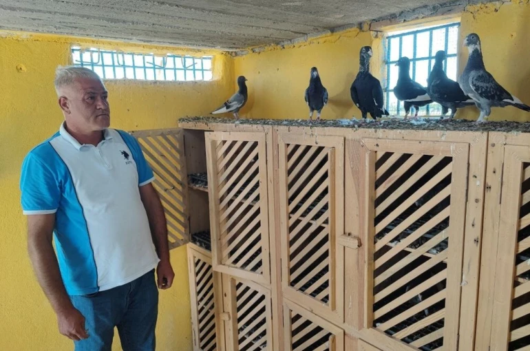 Kayıp güvercinlerini bulana ödülü 100 bin liraya çıkardı 