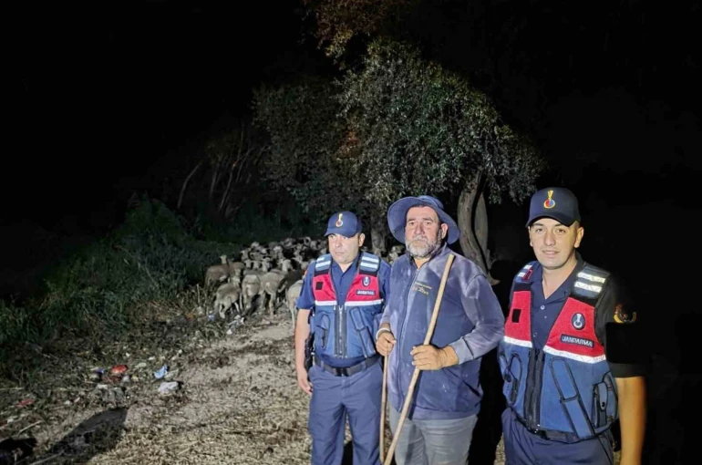Kayıp ihbarı yapılan çoban ile 100 koyun bulundu