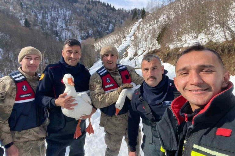 Kayıp kazlar üç gün sonra dere yatağında bulundu