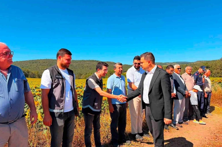 Kaymakam Titiz hasat sevincine ortak oldu