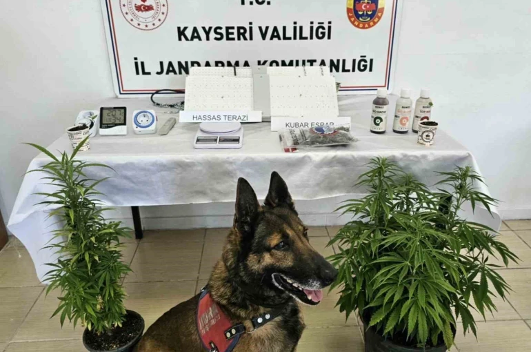 Kayseri’de uyuşturucu operasyonu 