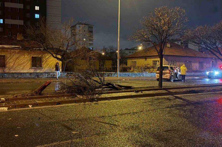 Kaza savrulan otomobil ağacı ikiye böldü: 4 yaralı 