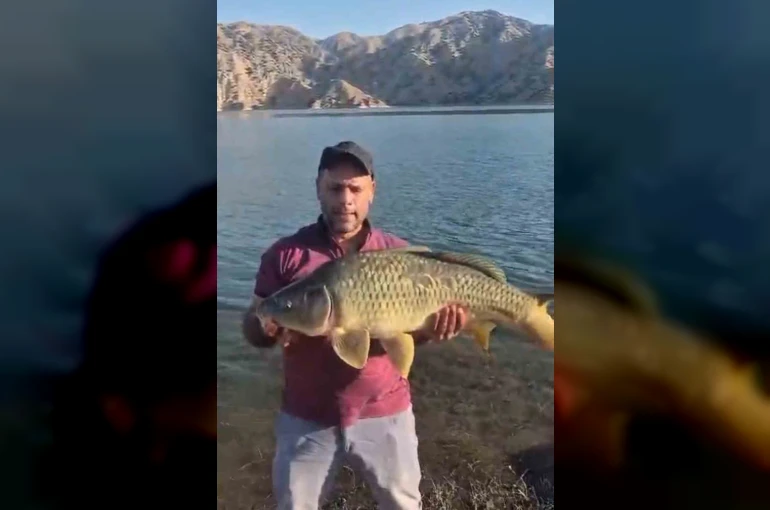 Keban Baraj Gölü’nde 10 kiloluk sazan yakalandı