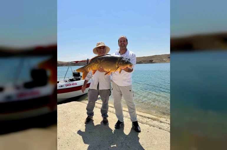 Keban Baraj Gölü’nde 27 kiloluk dev sazan yakalandı