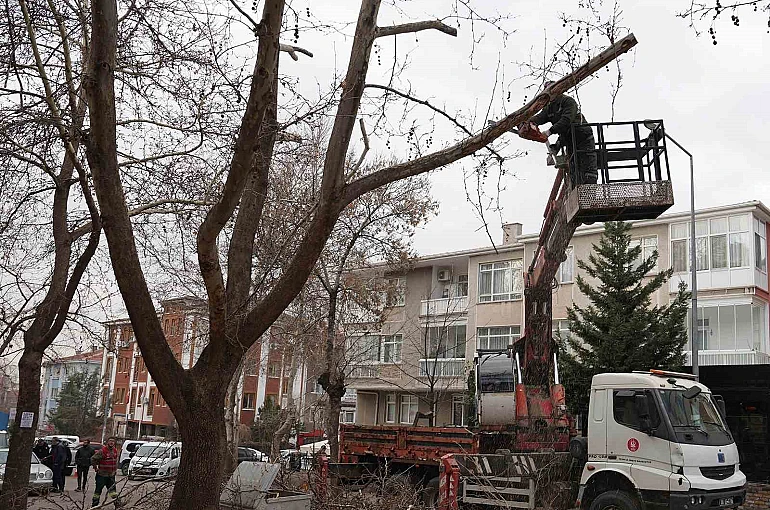 Keçiören Belediyesi, park ve yeşil alanlardaki bakım çalışmalarına devam ediyor 