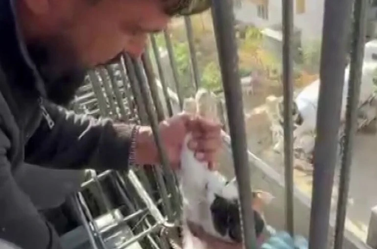 Kedi, dökülen betonun altında kalmaktan son anda kurtarıldı 