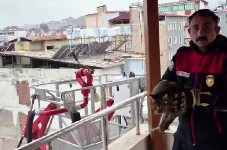 Kedi kurtarma operasyonuyla gönülleri fetheden itfaiye ekibine alkışlı teşekkür 