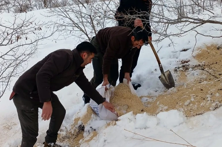 Kemah’ta yaban hayatı unutulmadı