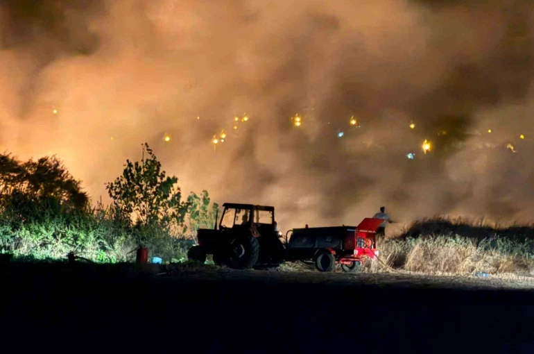 Keşan’da çıkan yangın ormanlık alana sıçramadan söndürüldü 