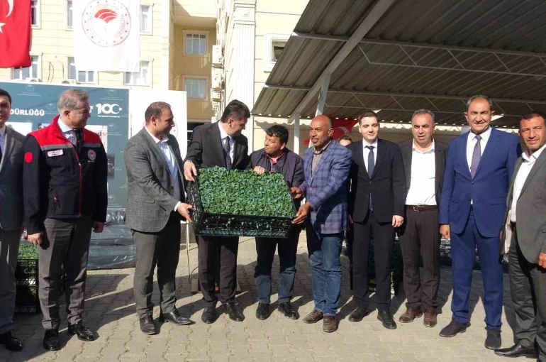 Kilis’te 320 çiftçiye üzüm şalı, 250 çiftçiye 400 bin fide desteği 